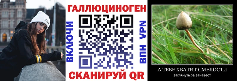 Псилоцибиновые грибы Psilocybe  Купить  Саяногорск 
